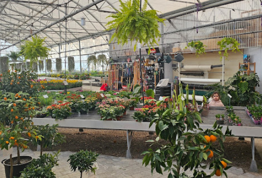 jardinerie à Vézénobres près d'Alès dans le gard 30