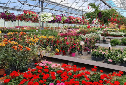 horticulteur à Vézénobres près d'Alès dans le gard 30