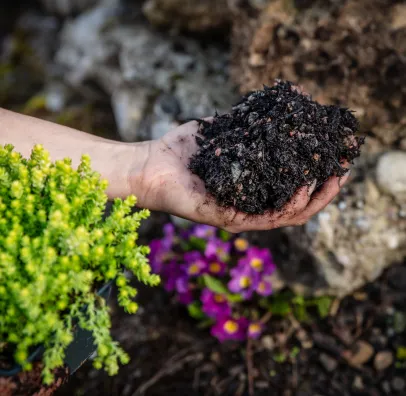terreaux à Vézénobres près d'Alès dans le gard 30