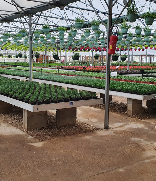 production de plantes à Vézénobres près d'Alès dans le gard 30