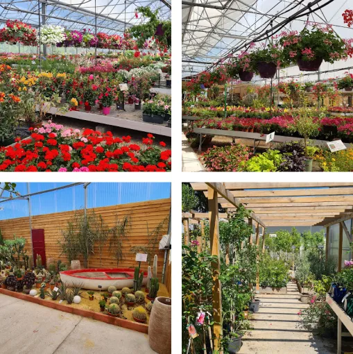 magasin de plantes à Vézénobres près d'Alès dans le Gard 30