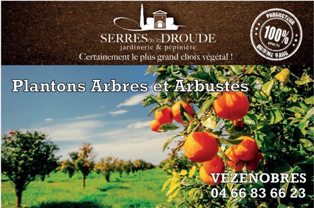 Des Arbres & Arbustes